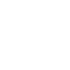Penetration Testing & Vulnerability Scanning
